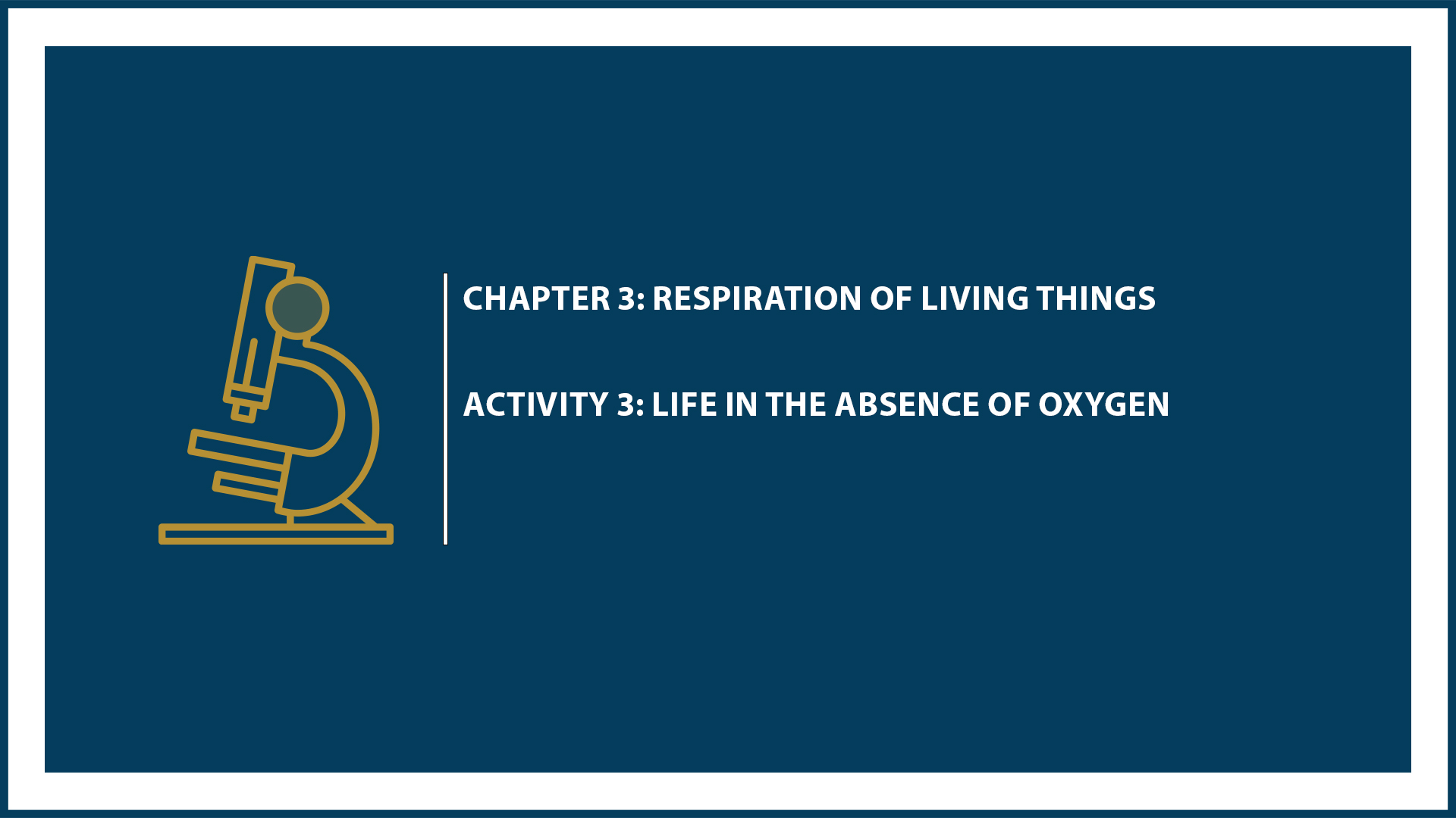Chapter 3: Activity 3: Life in the Absence of Oxygen